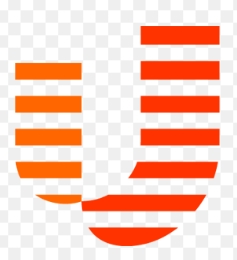 UseePay